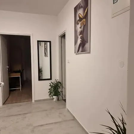 La Paulina's Iii Apartament